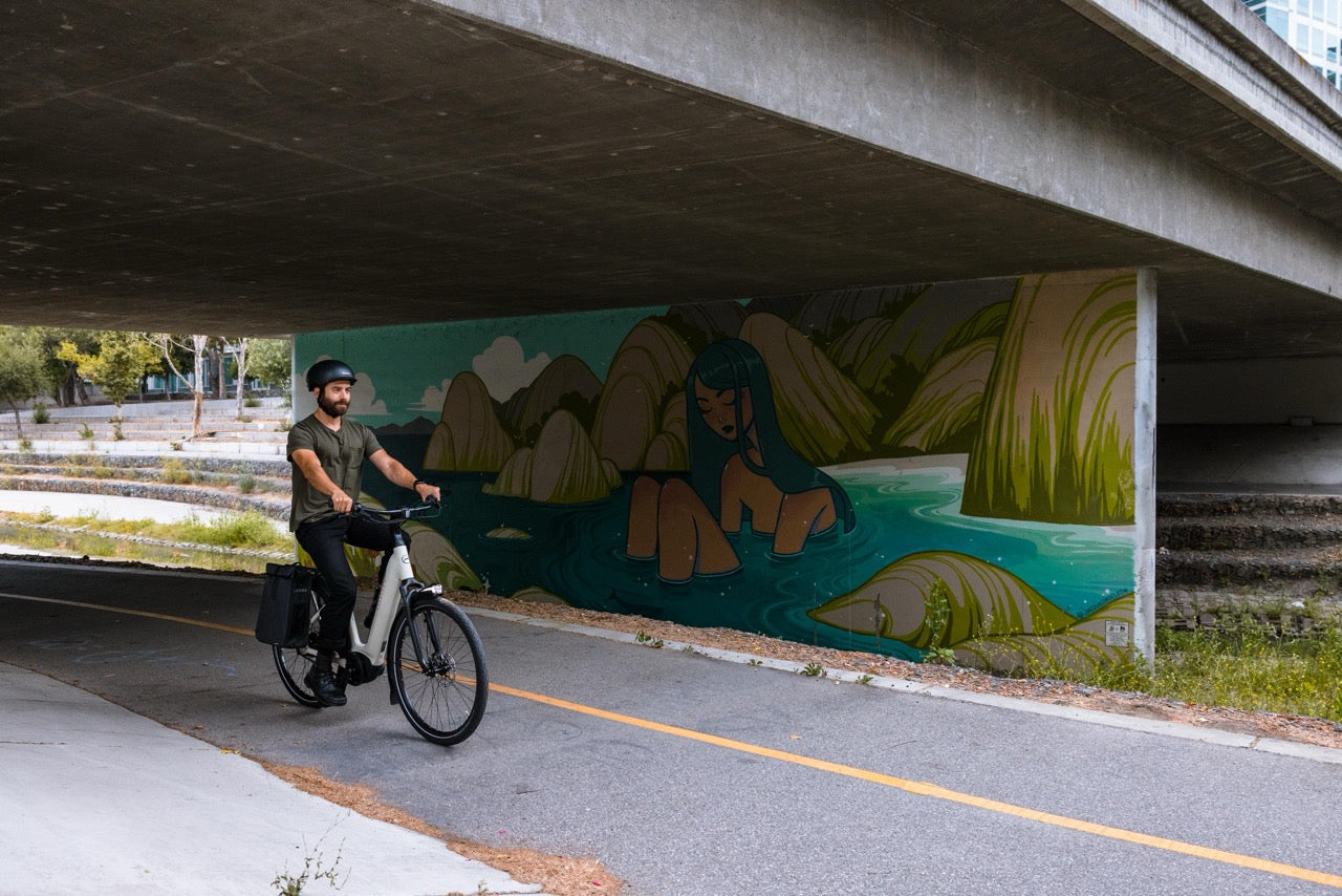 A commuter ride along the bike path on their Gazelle Arroyo electric bike
