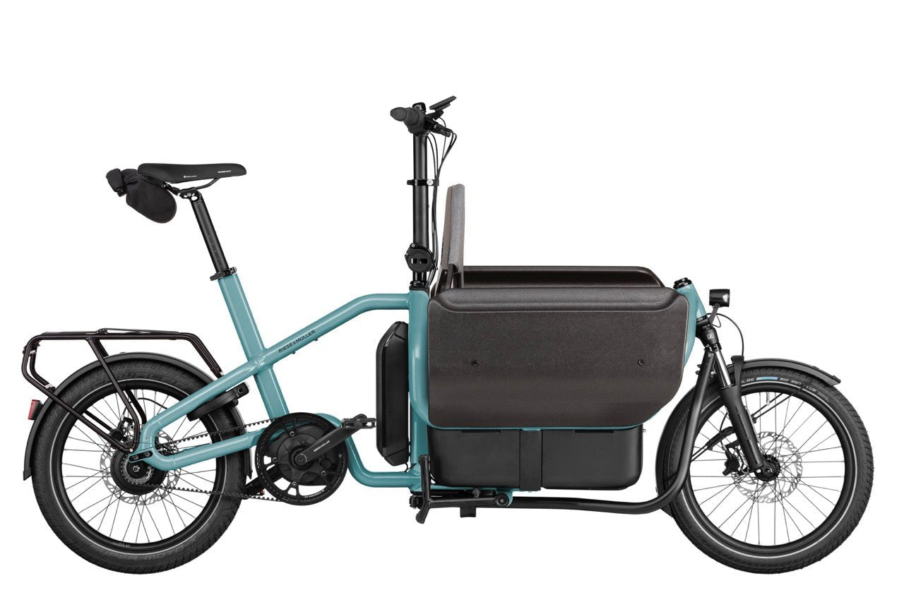 Riese & Müller Carrie E-Bike Subscription SF Bay Area
