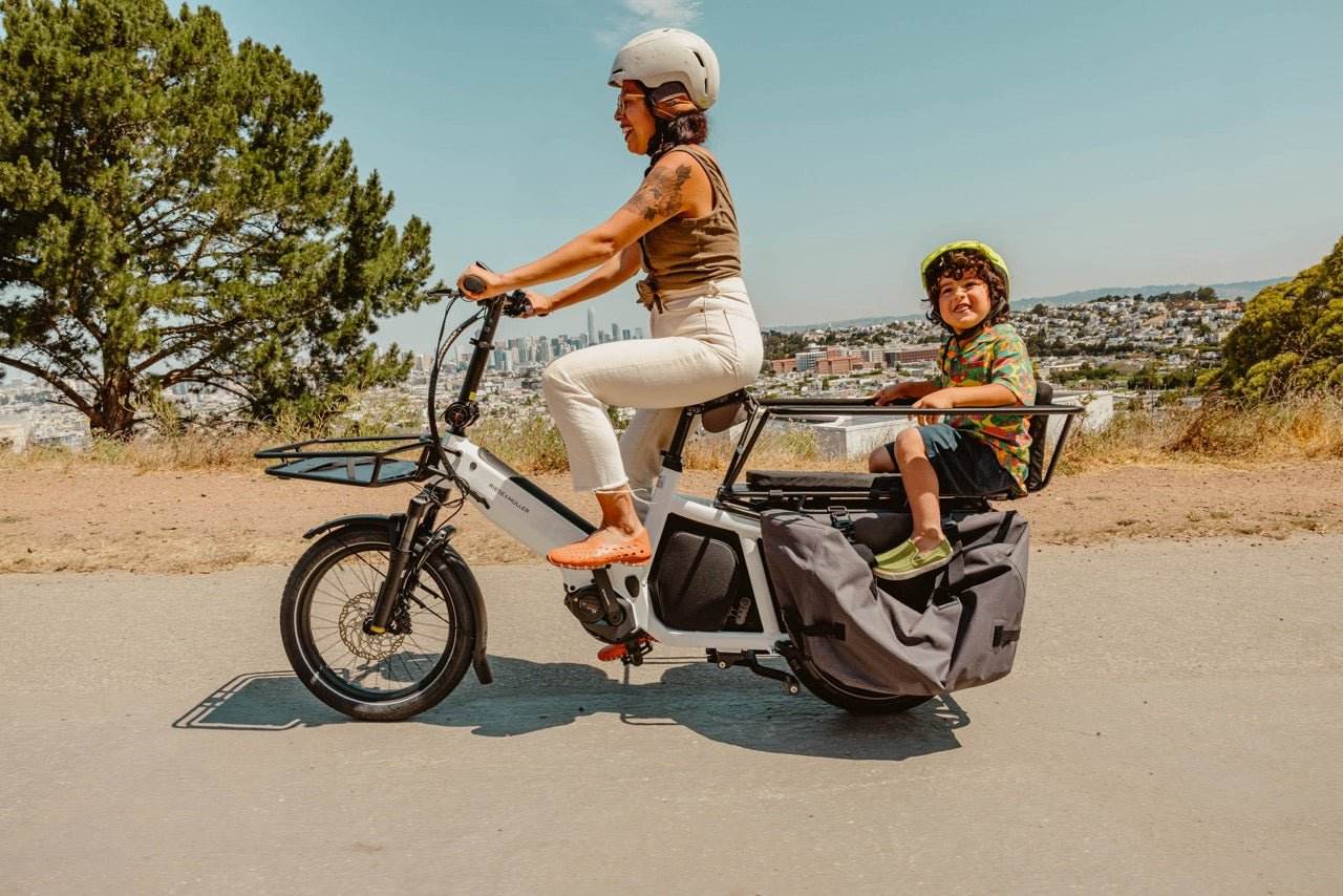 Riese &amp; Müller Multitinker ebike